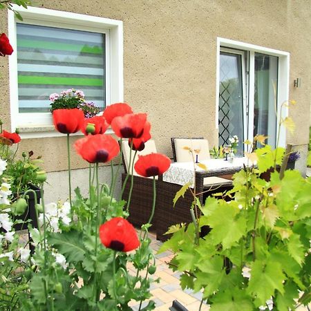 Ferienwohnung Haus Felix Bad Elster Exterior foto